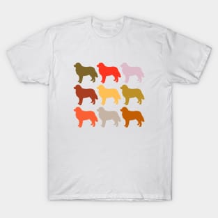 Bernese Mountain Dog in Rainbow Colors T-Shirt